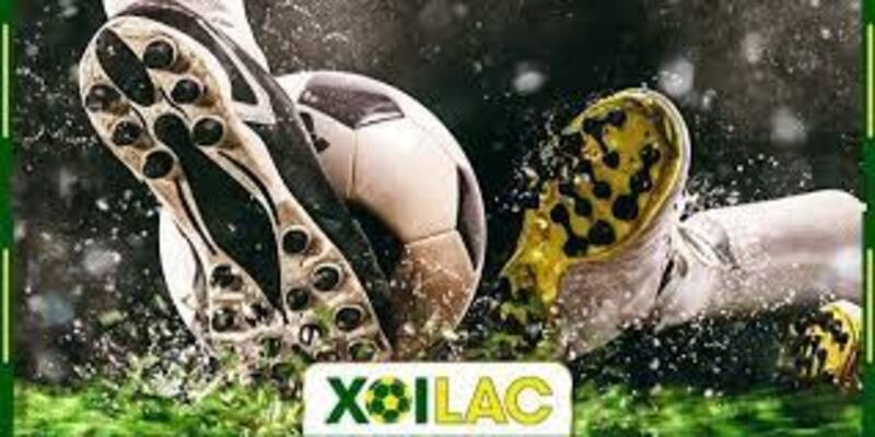 Xoilacvn Live – Website xem bóng đá trực tiếp hàng đầu