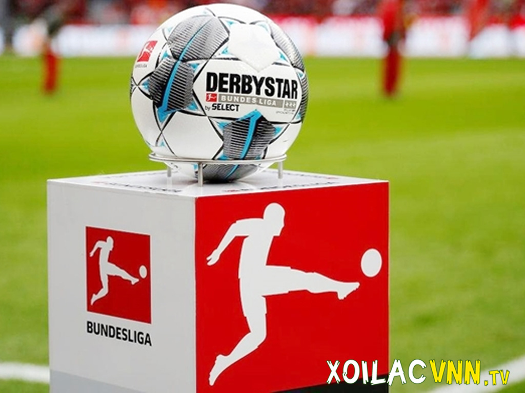 giai-vo-dich-bong-da-duc