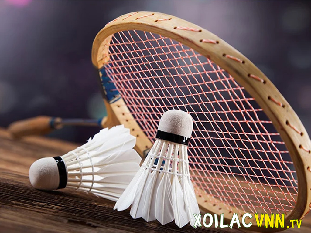 Cầu lông toàn tập: Kích thước sân, kỹ thuật đánh vợt giỏi