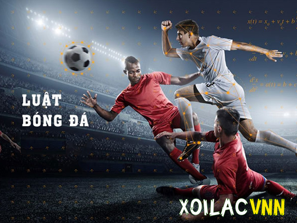 Luật bóng đá: Toàn bộ về bóng đá 5 người, 7 người và 11 người