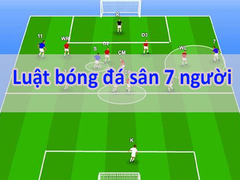 luat-bong-da-san-7-nguoi