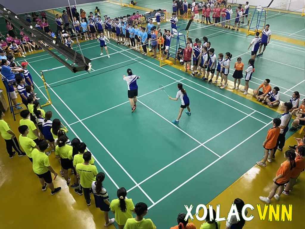 choi-cau-long-trong-nha