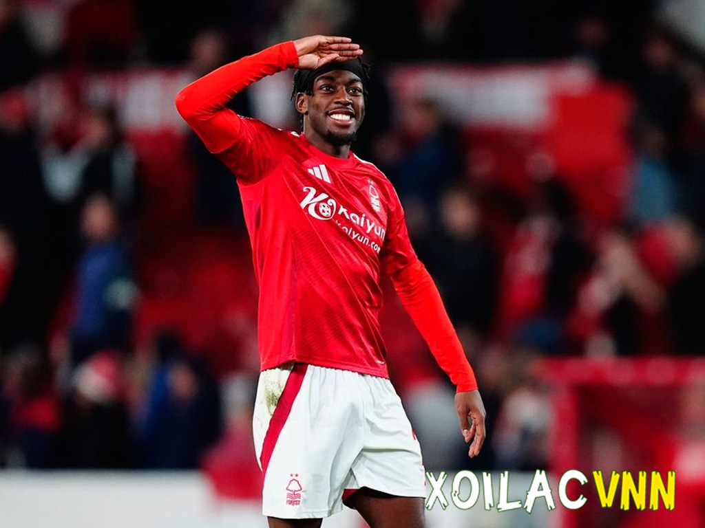 elanga-so-huu-toc-do-tuyet-voi