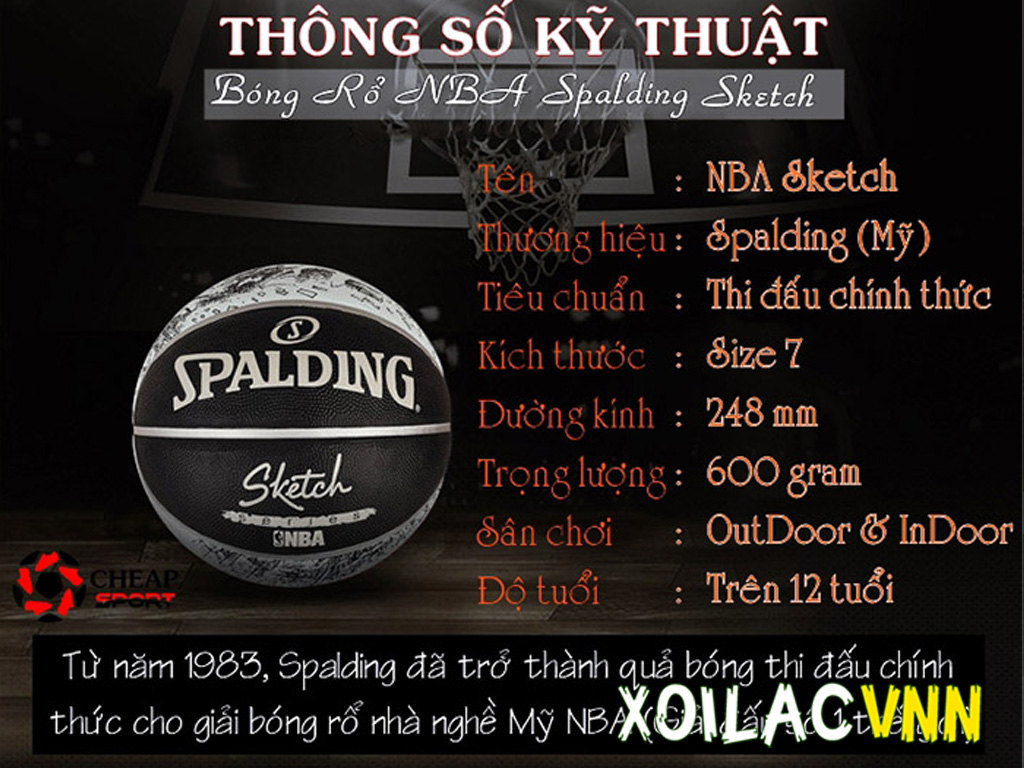 kich-thuoc-trai-bong-ro
